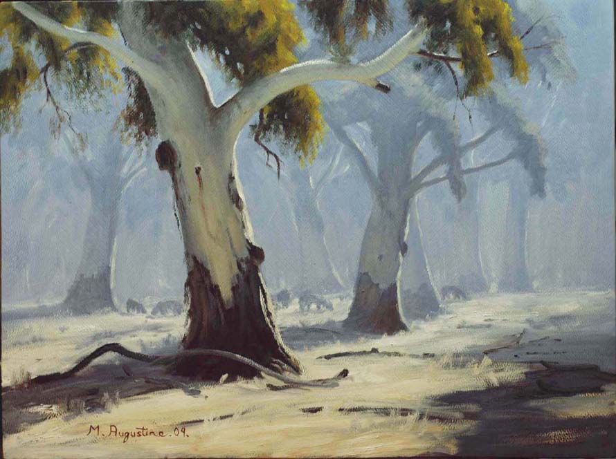 Ghost gum 46x61cm Sold